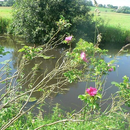 Gite De L'Aure Trevieres Εξωτερικό φωτογραφία