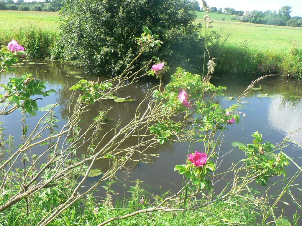 Gite De L'Aure Trevieres Εξωτερικό φωτογραφία